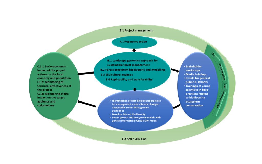  LIFE SySTEMiC actions and main outputs